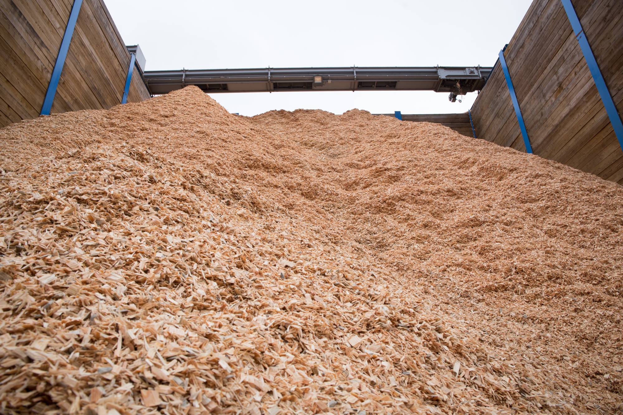 Delivery Options Forwood Group BSL Compliant Virgin P31s Woodchip